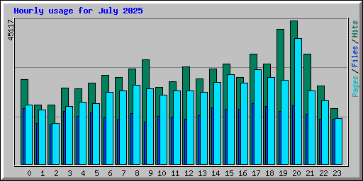 Hourly usage for July 2025