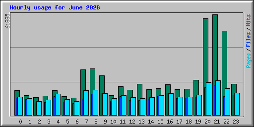 Hourly usage for June 2026