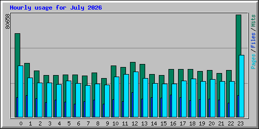 Hourly usage for July 2026