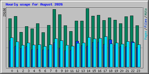 Hourly usage for August 2026