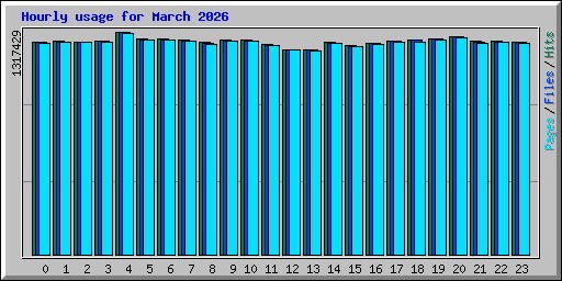 Hourly usage for March 2026