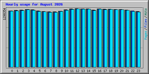 Hourly usage for August 2026